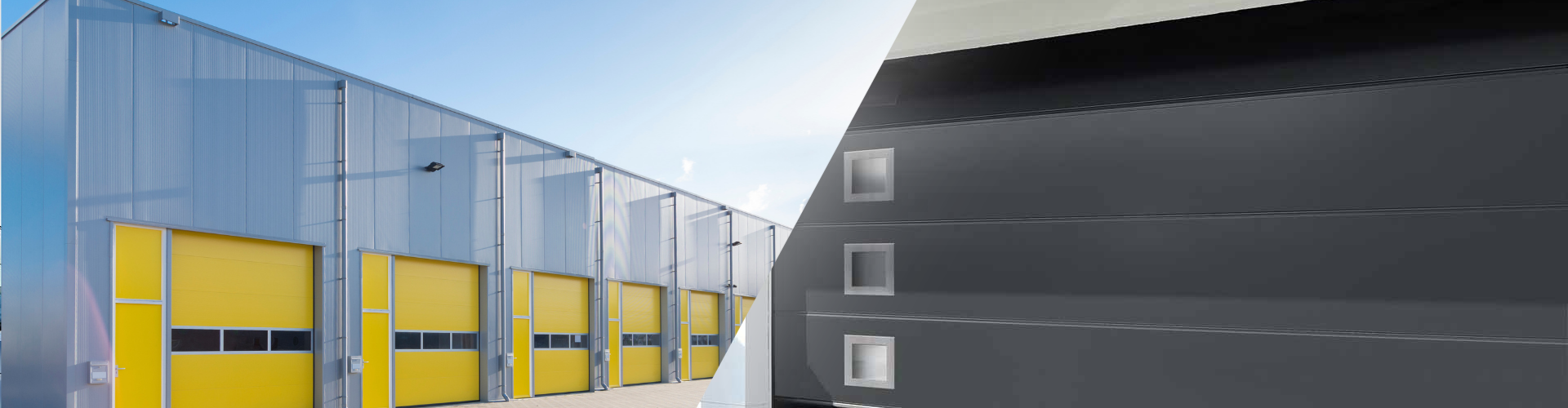 THYRATECH HEADER PRODUCT PHOTO